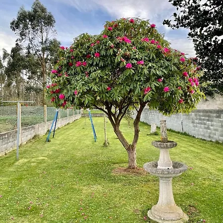 Dom wakacyjny Casa Janeiro Barreiros